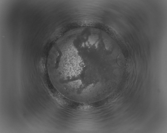 X0000073890695200608251432