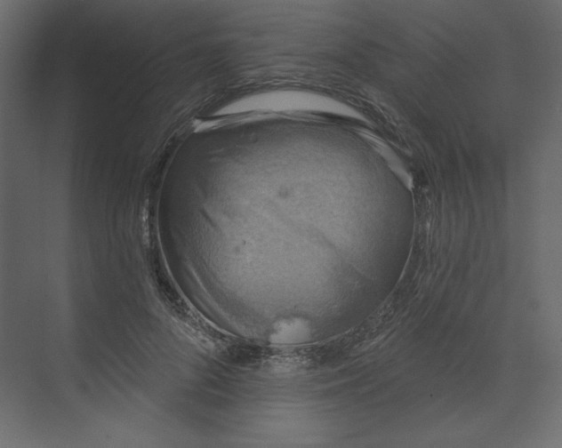 X0000073890696200608251432