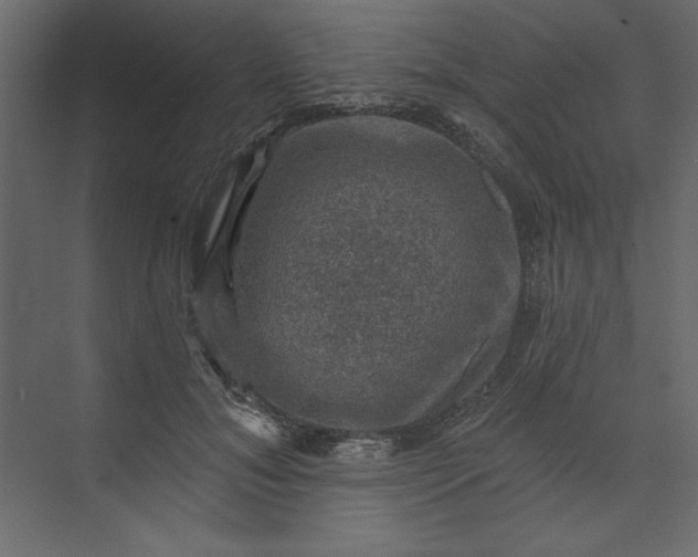 X0000073890700200608251431