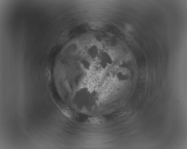 X0000073890703200608251431