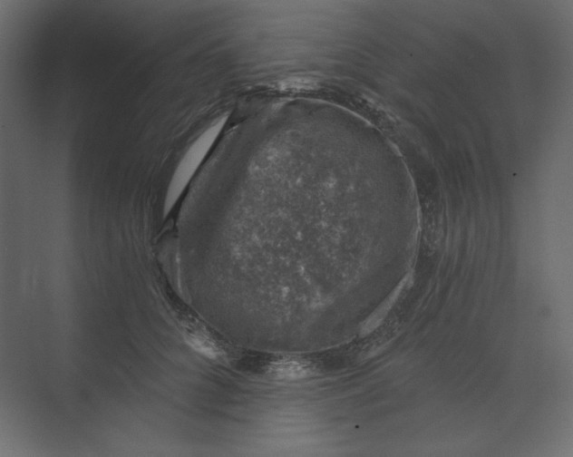 X0000073890704200608251431