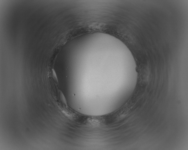 X0000073890706200608251431