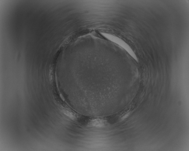 X0000073890708200608251431