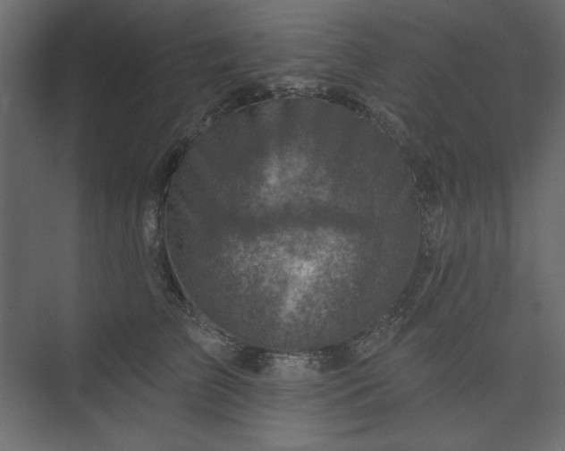 X0000073890709200608251431