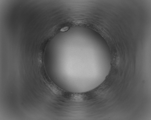 X0000073890710200608251431