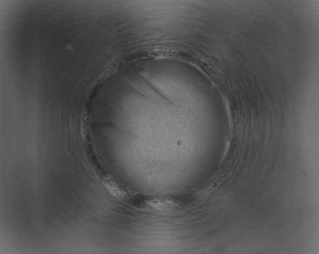 X0000073890712200608251431