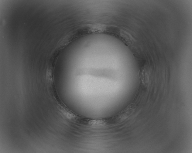 X0000073890714200608251431