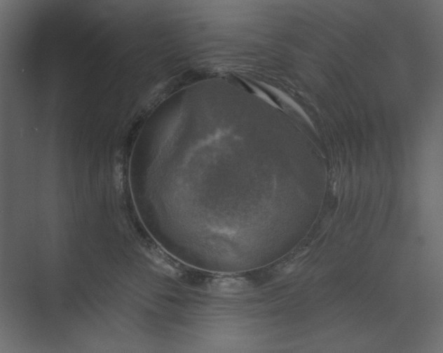 X0000073890716200608251431