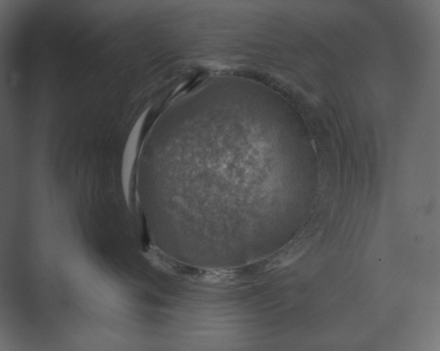 X0000073890720200608251431