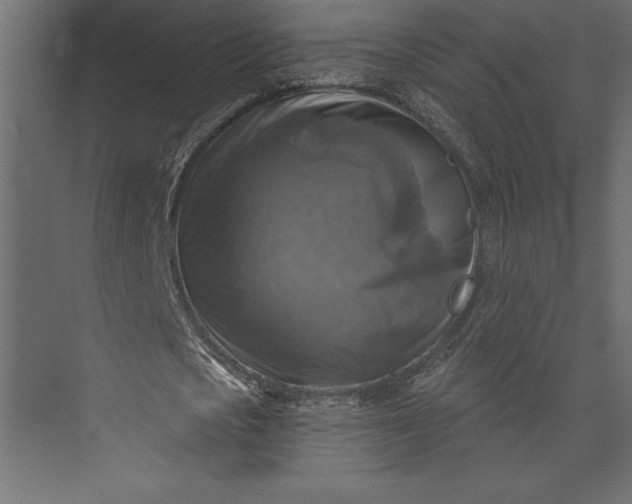 X0000073890721200608251430