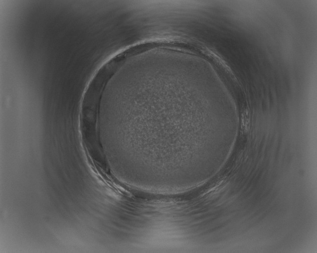 X0000073890724200608251430