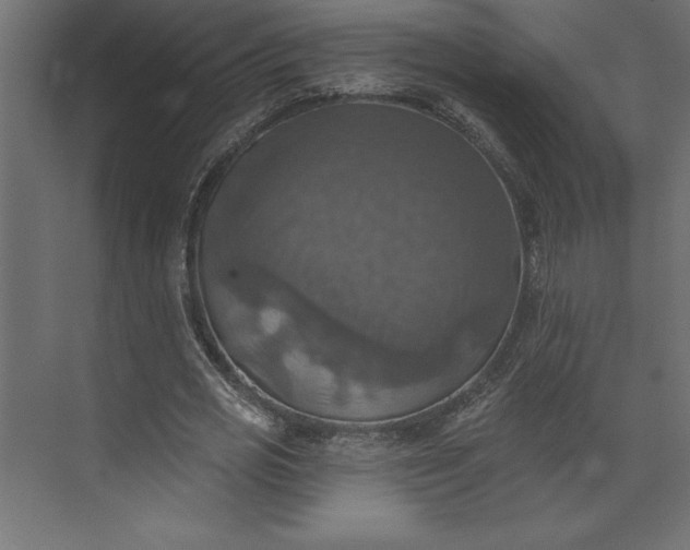 X0000073890725200608251430