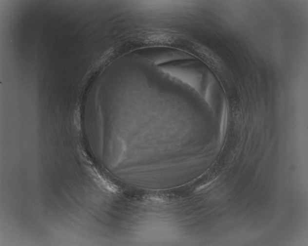 X0000073890729200608251430