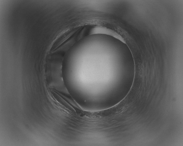 X0000073890731200608251430