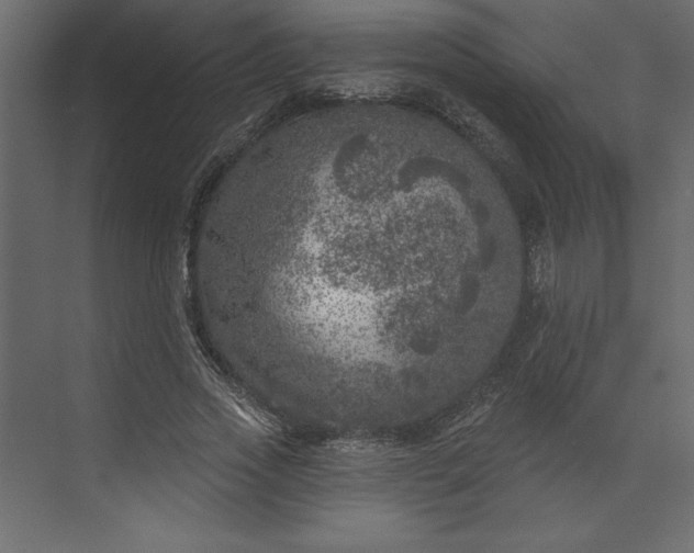 X0000073890733200608251431