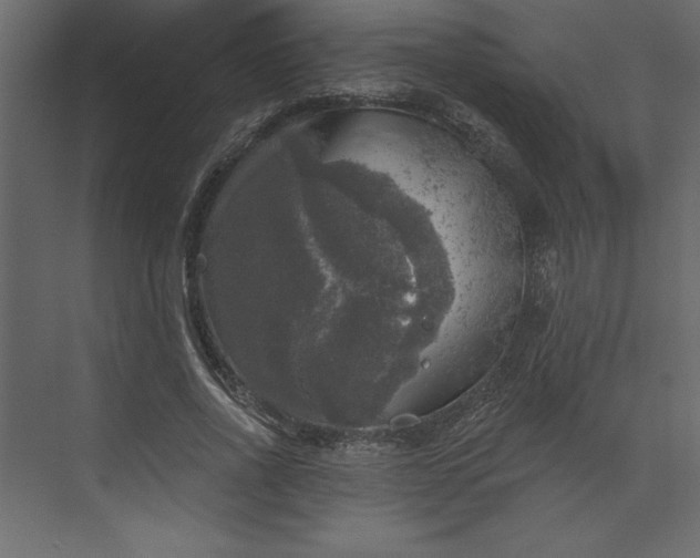 X0000073890734200608251431