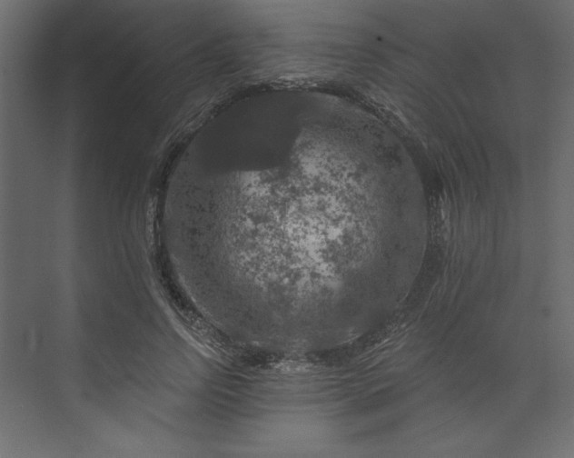 X0000073890742200608251431