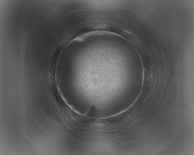 X0000073890743200608251431