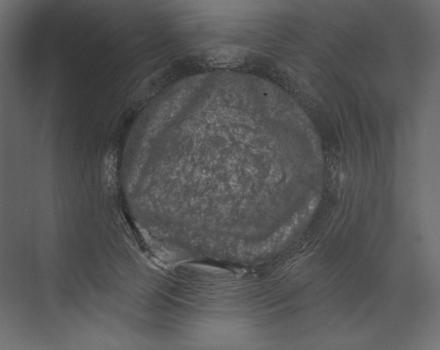 X0000073890745200608251431