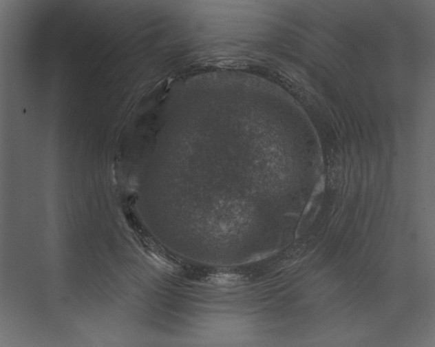 X0000073890748200608251431