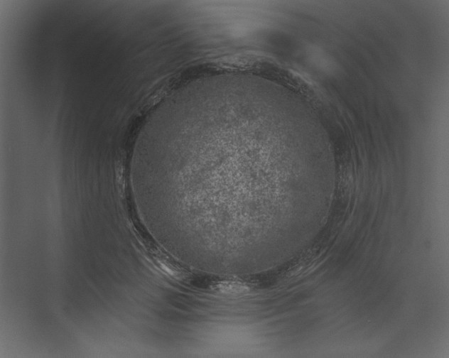 X0000073890749200608251431