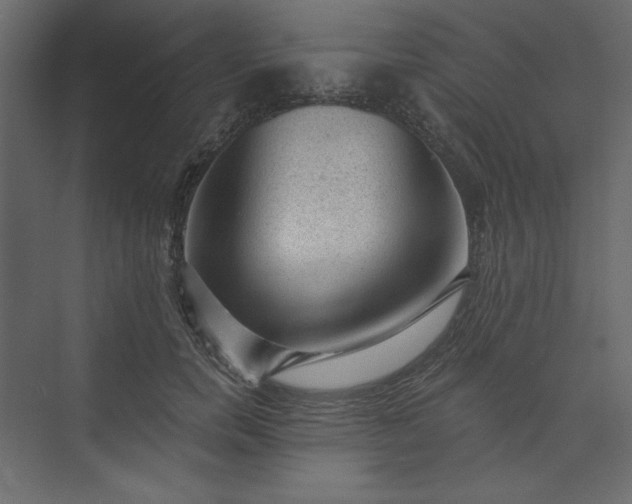 X0000073890750200608251431