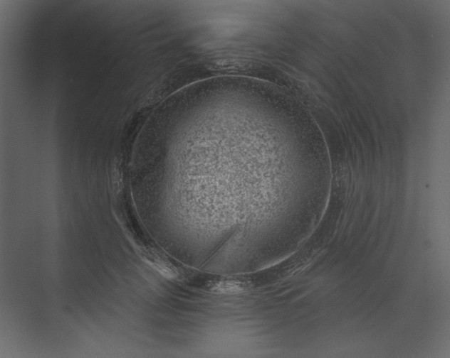 X0000073890751200608251431