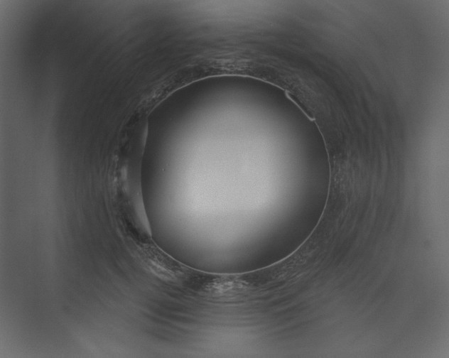 X0000073890752200608251431