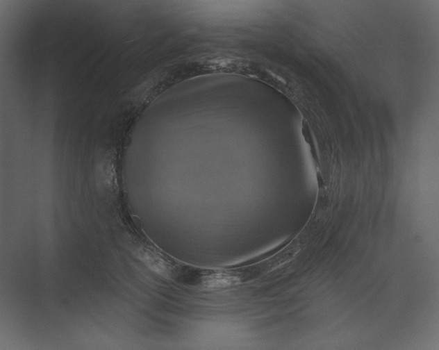 X0000073890754200608251431