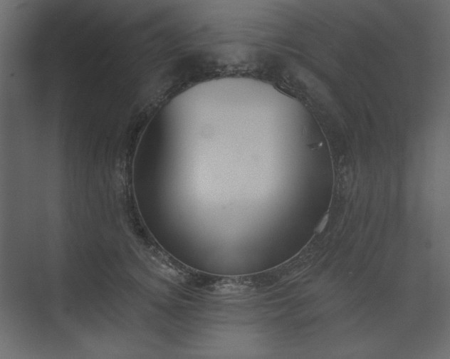 X0000073890756200608251431