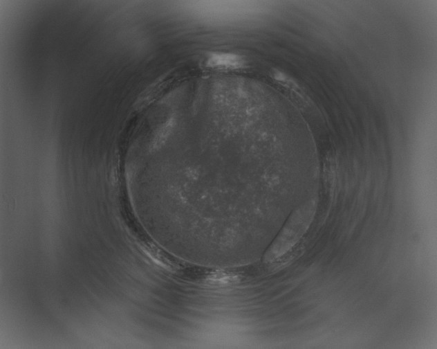 X0000073890760200608251431