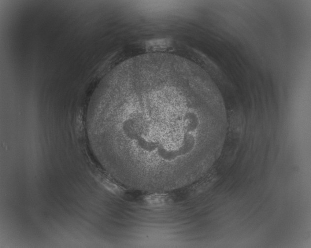 X0000073890761200608251431