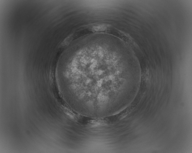 X0000073890763200608251431