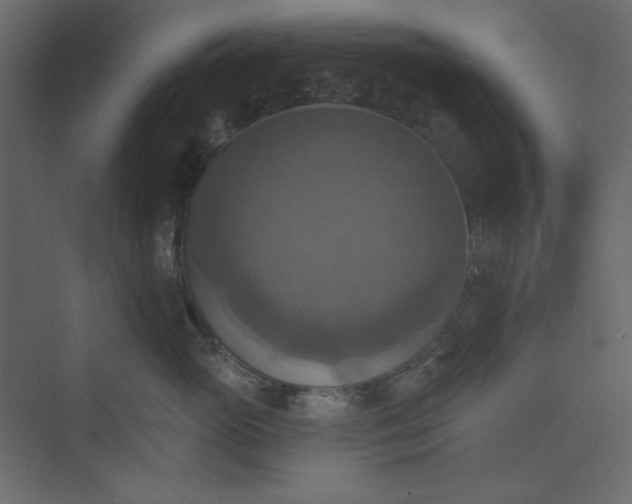 X0000073890765200608251431