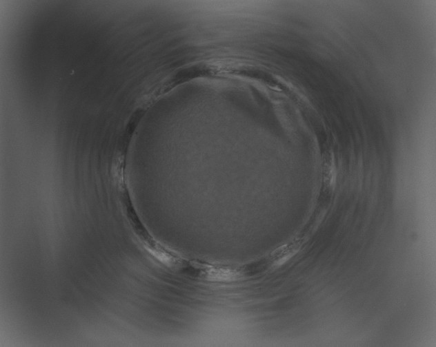 X0000073890766200608251431