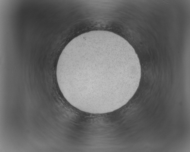 X0000073890769200608251430