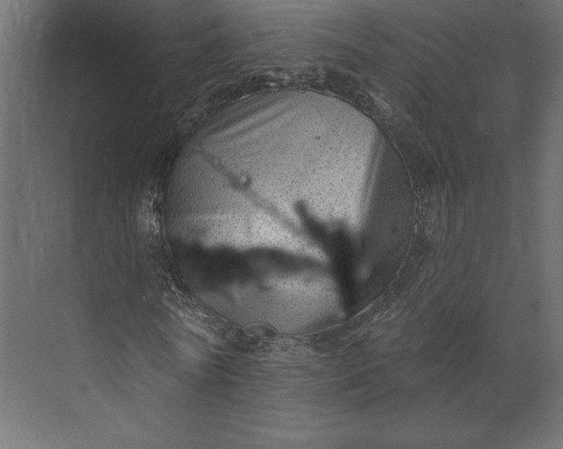 X0000073890770200608251430