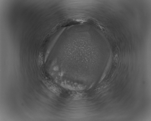 X0000073890772200608251430