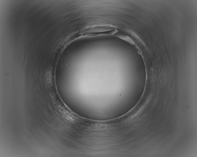 X0000073890777200608251430