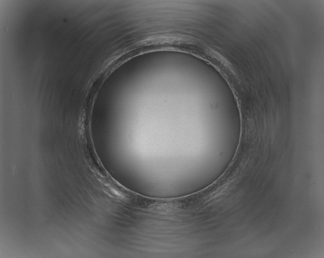 X0000073890778200608251430