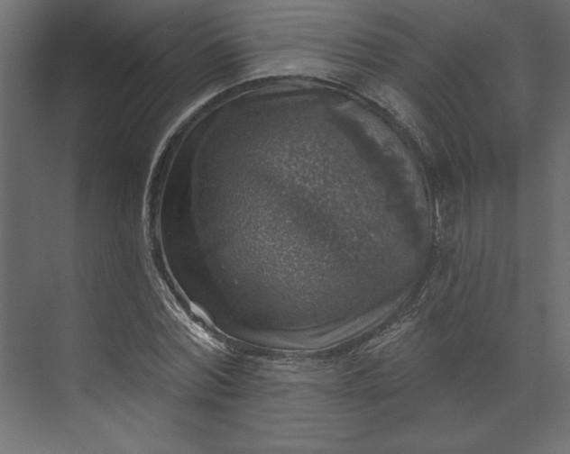 X0000073890780200608251430