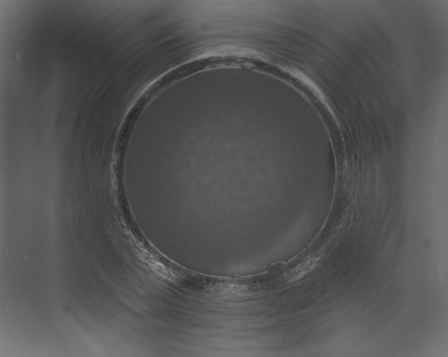 X0000073890783200608251430