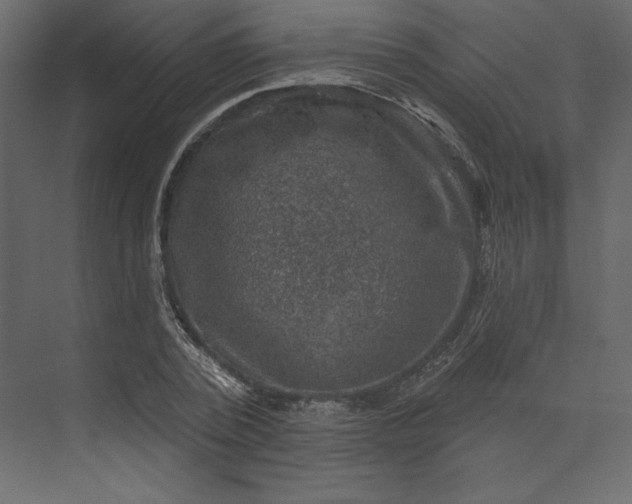 X0000073890784200608251430