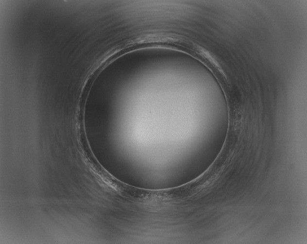 X0000073890786200608251430