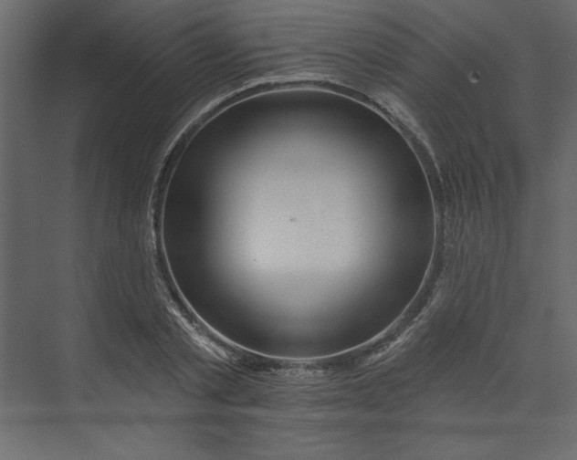 X0000073890789200608251430