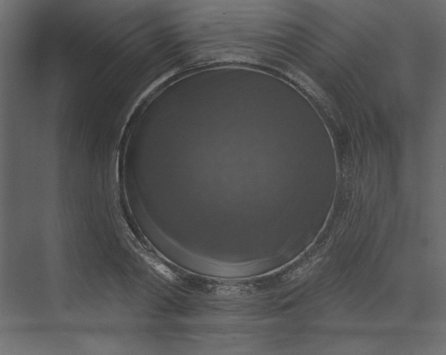 X0000073890790200608251430