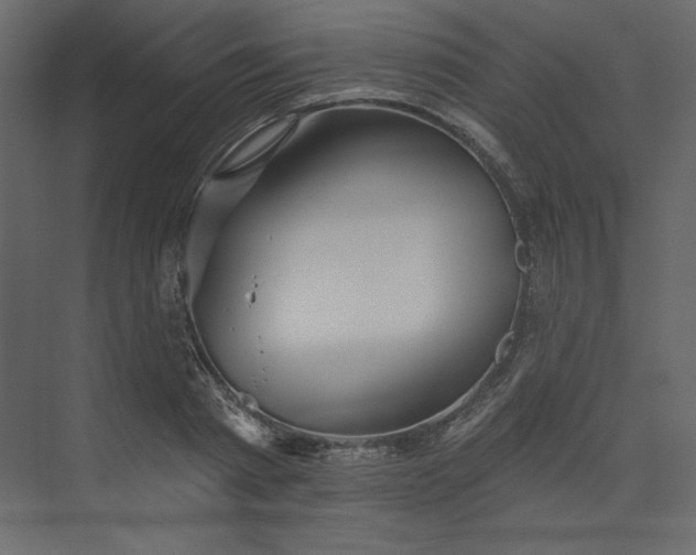 X0000073890793200608251430