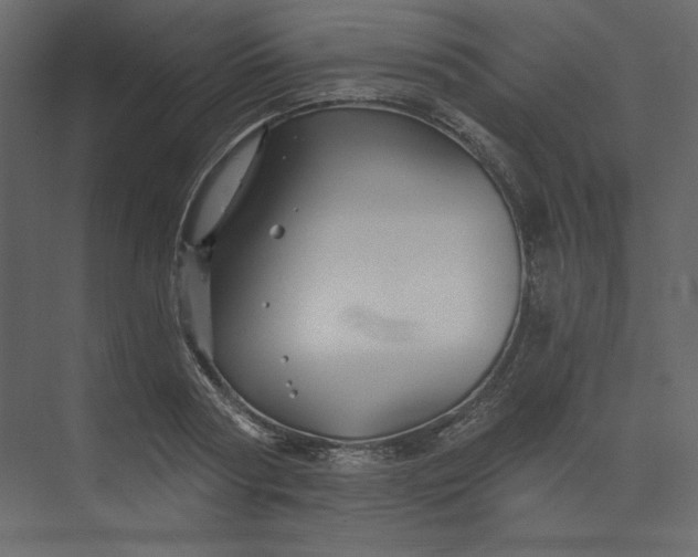 X0000073890794200608251430