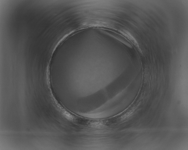 X0000073890798200608251430