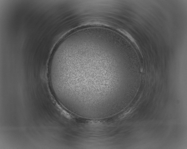 X0000073890799200608251430